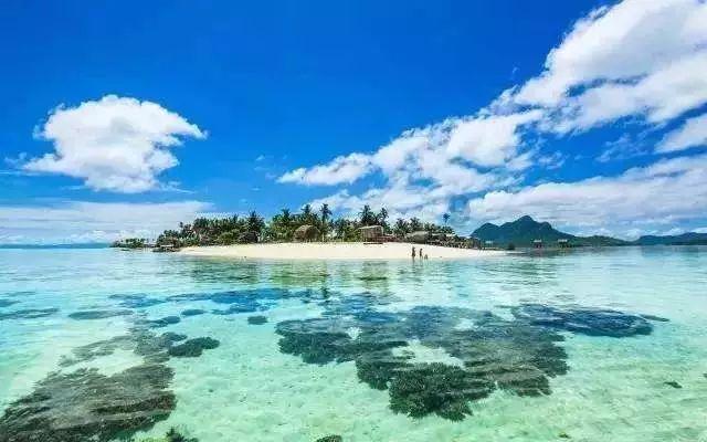 玉米心里有水打苗后除草剂对玉米有药害?游戏画面